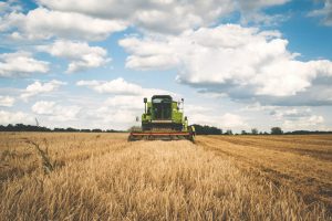 Agriculture Agriculture